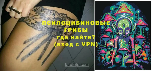 a pvp Краснослободск