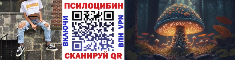 Купить закладки  Приозерск  Галлюциногенные грибы ЛСД 